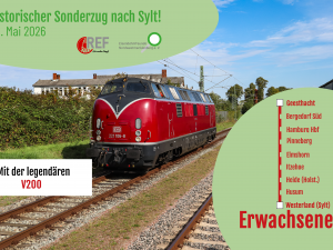 Fahrkarte Geesthacht - Westerland (Sylt) (Erwachsener) am 30. Mai 2026